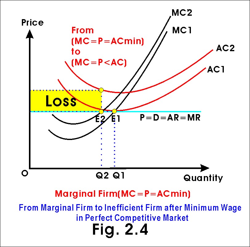 minimun wage on marginal firm