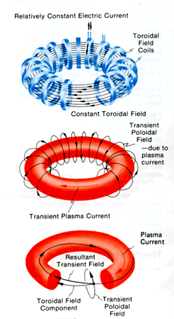 Tokamak Reactor Working Principle