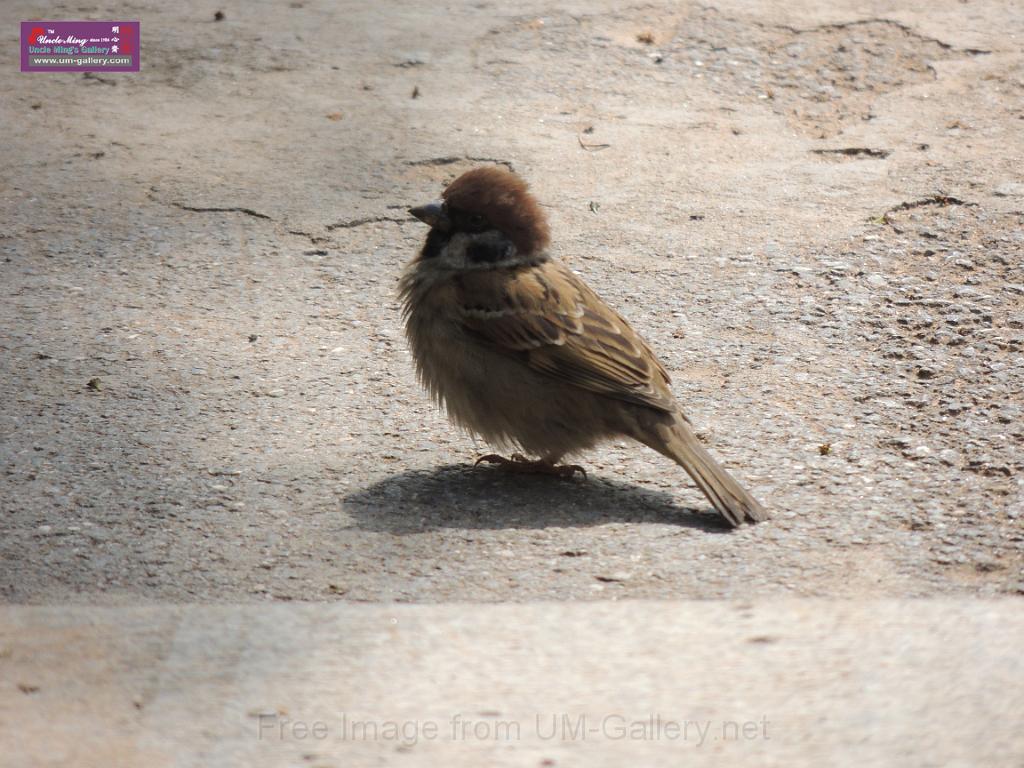 20120420sf_zhangjiajie_DSCN1139.JPG