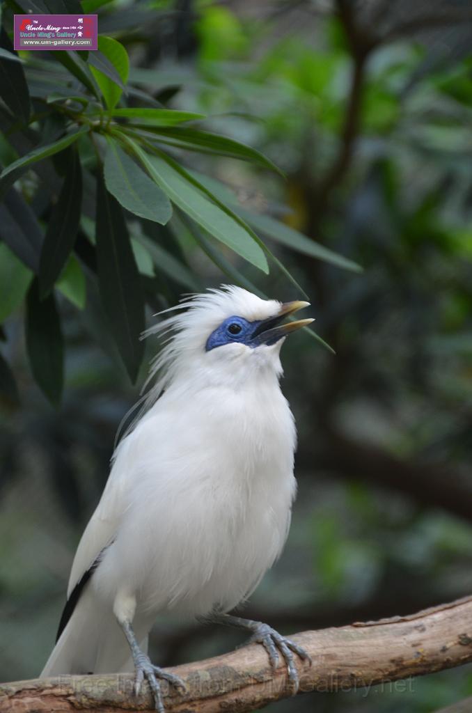 20150426jw-hk-park_DSC_0475.JPG