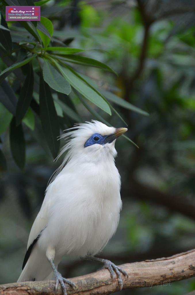 20150426jw-hk-park_DSC_0477.JPG