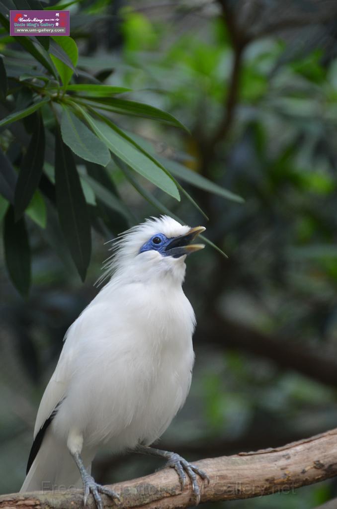 20150426jw-hk-park_DSC_0478.JPG