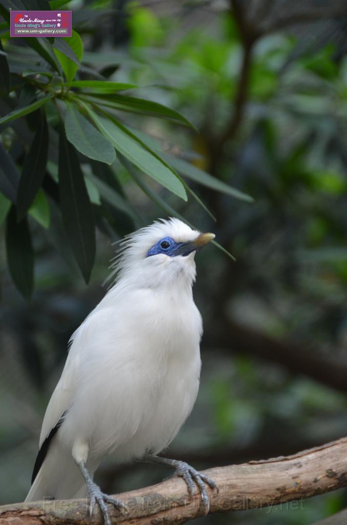 20150426jw-hk-park_DSC_0479.JPG