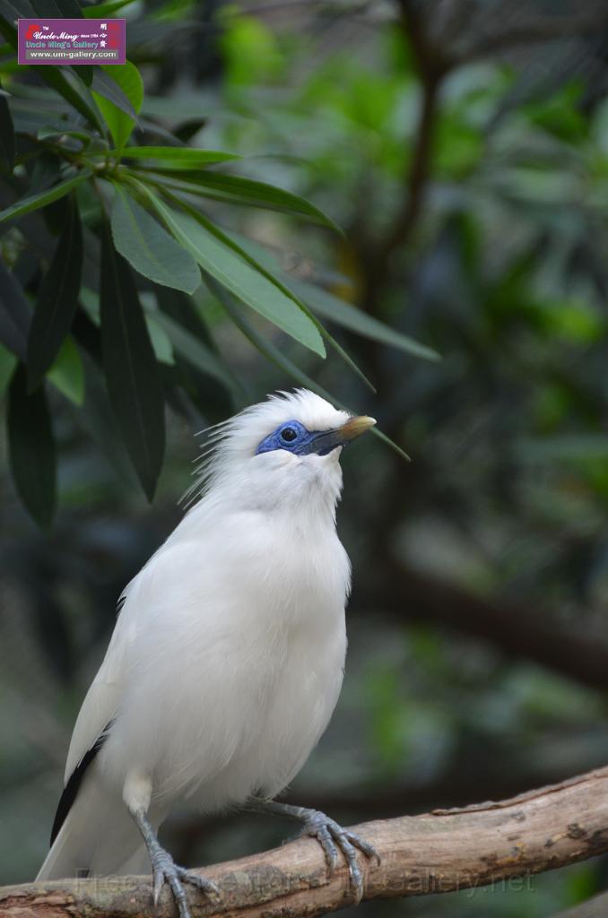 20150426jw-hk-park_DSC_0480.JPG