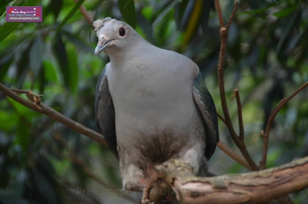 20150426jw-hk-park_DSC_0486.JPG