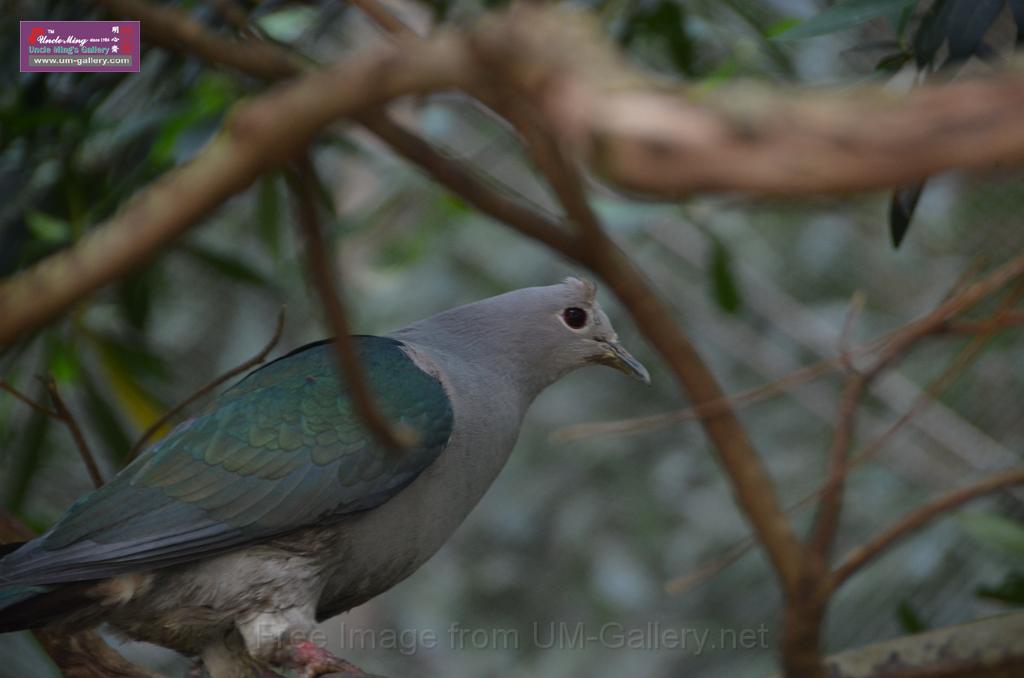 20150426jw-hk-park_DSC_0489.JPG