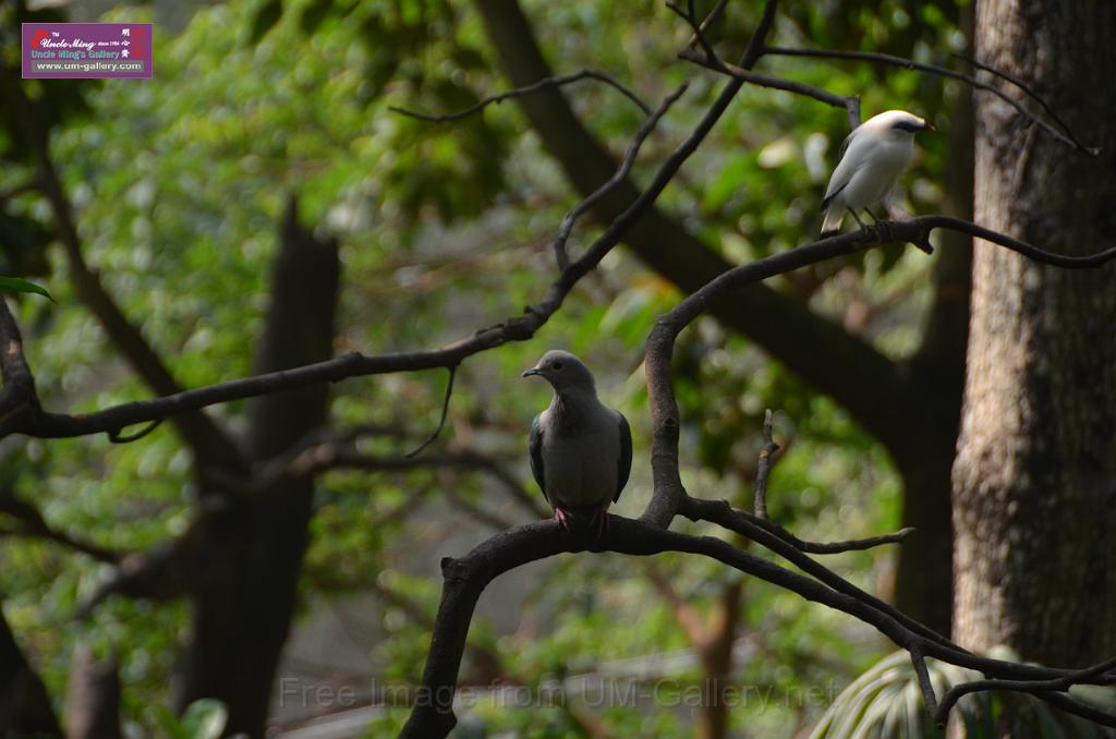 20150426jw-hk-park_DSC_0532.JPG