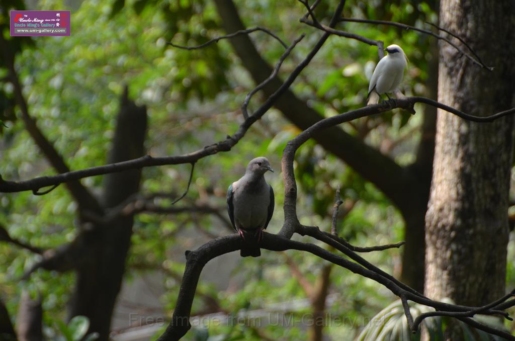 20150426jw-hk-park_DSC_0533.JPG