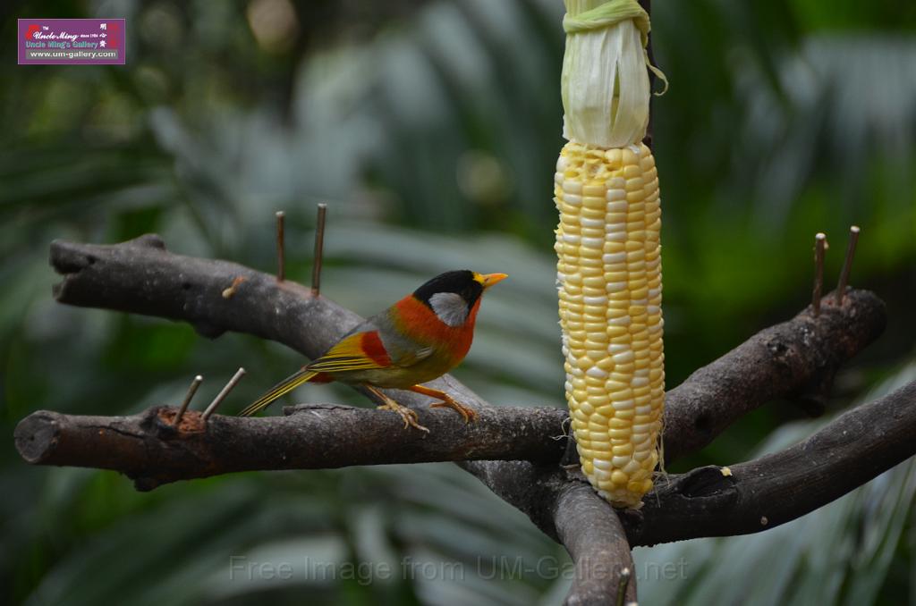 20150426jw-hk-park_DSC_0565.JPG