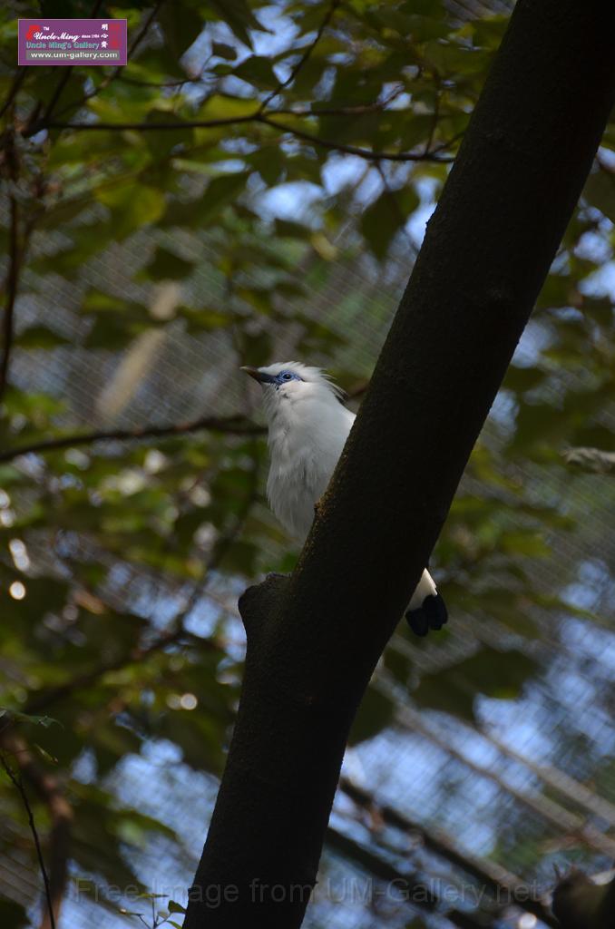 20150426jw-hk-park_DSC_0589.JPG