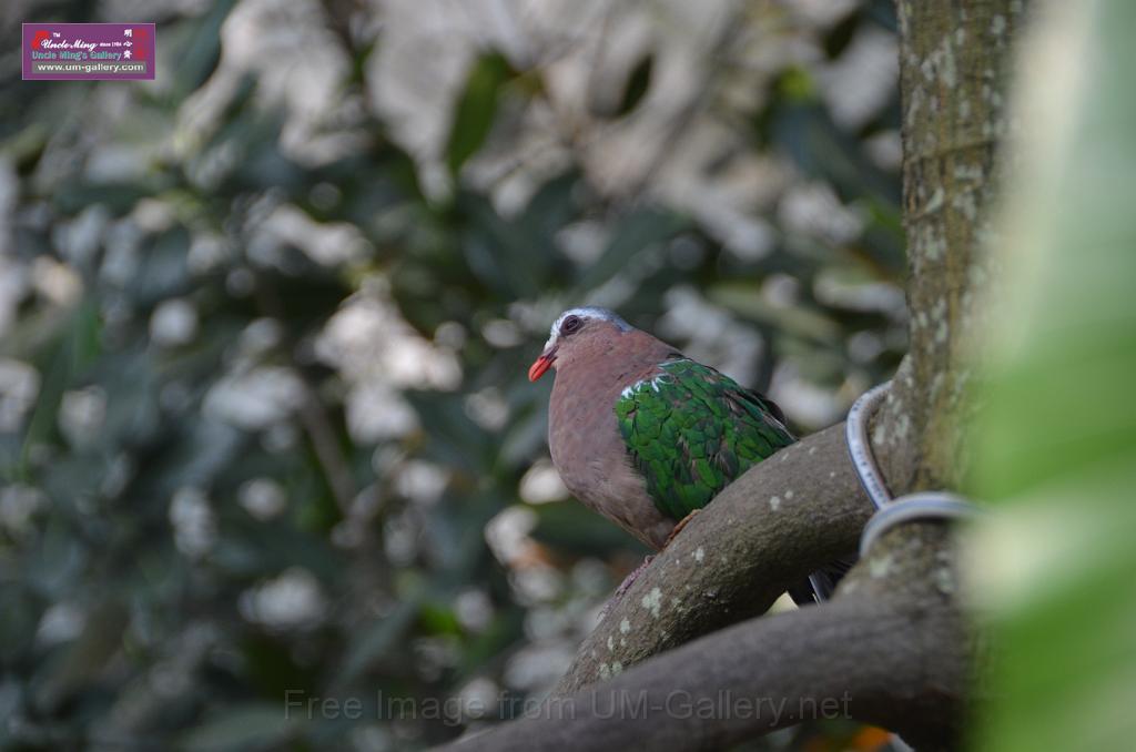 20150426jw-hk-park_DSC_0607.JPG