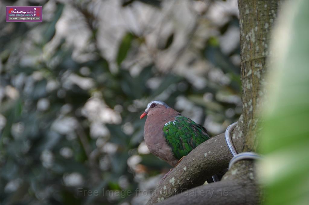 20150426jw-hk-park_DSC_0610.JPG