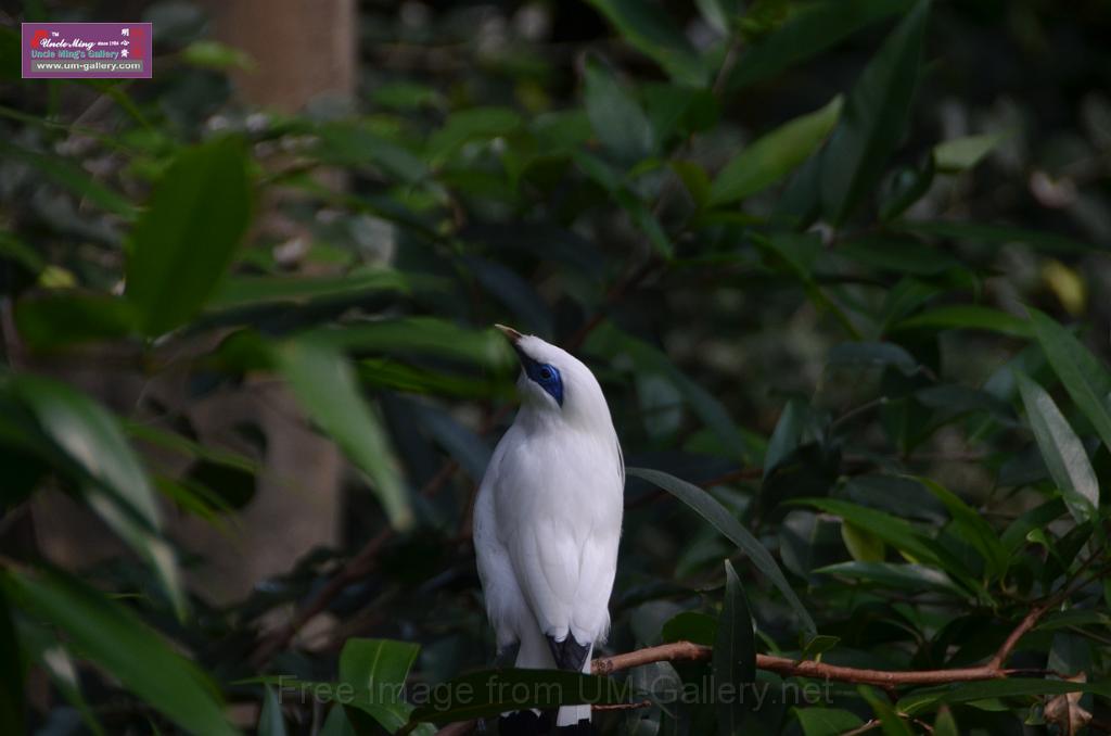 20150426jw-hk-park_DSC_0617.JPG