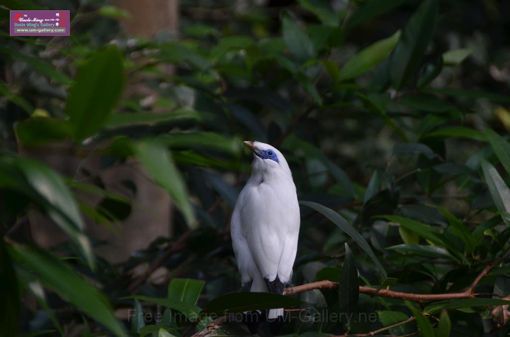 20150426jw-hk-park_DSC_0620.JPG