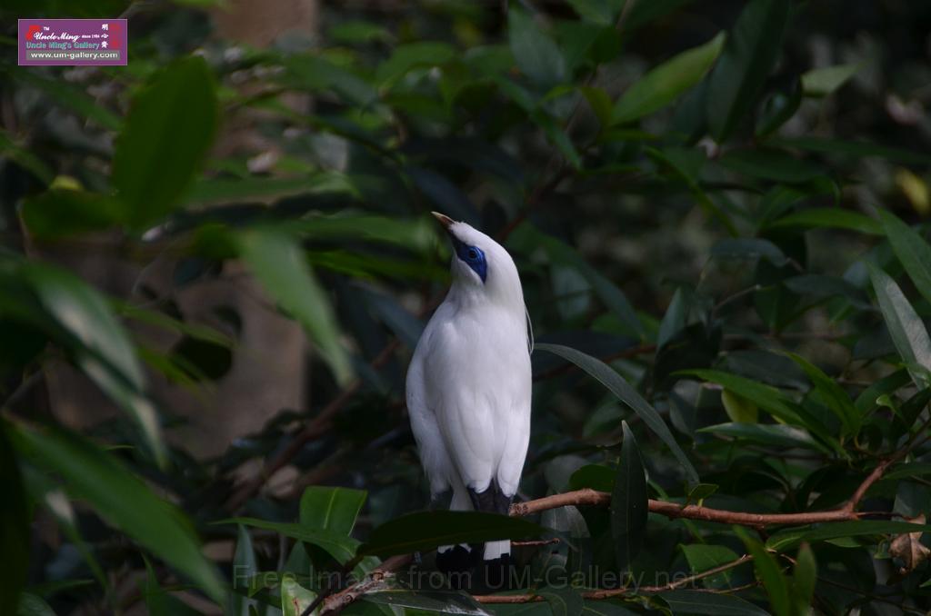 20150426jw-hk-park_DSC_0625.JPG