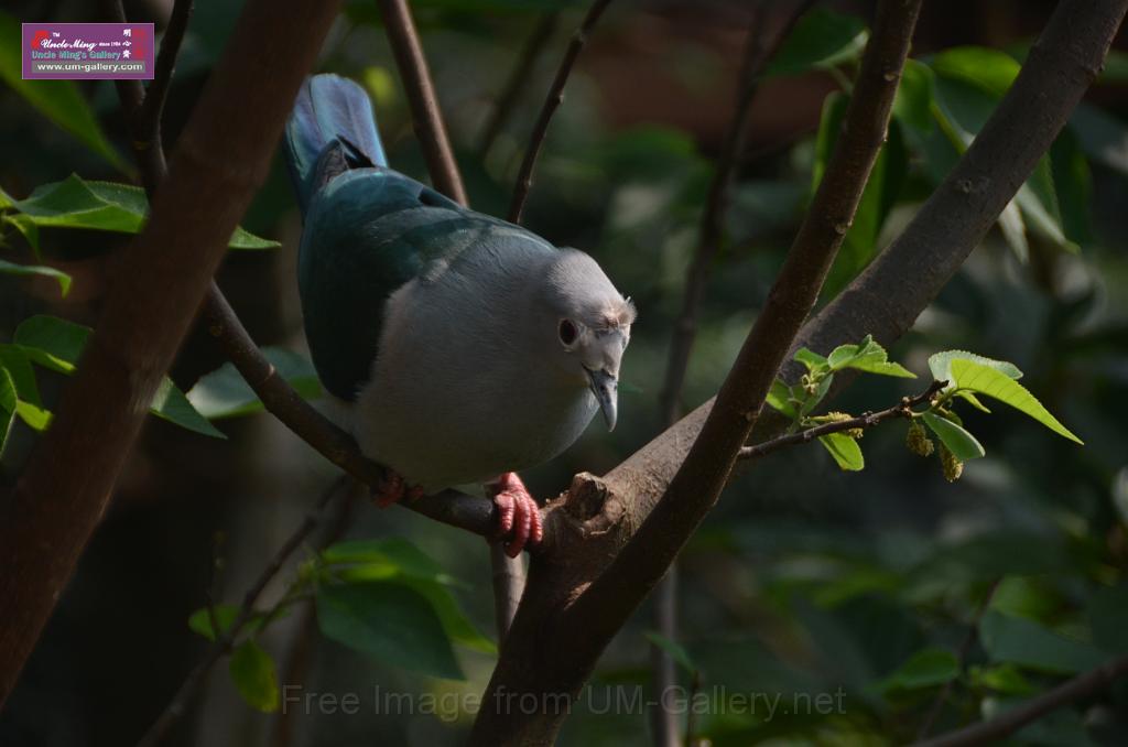 20150426jw-hk-park_DSC_0627.JPG