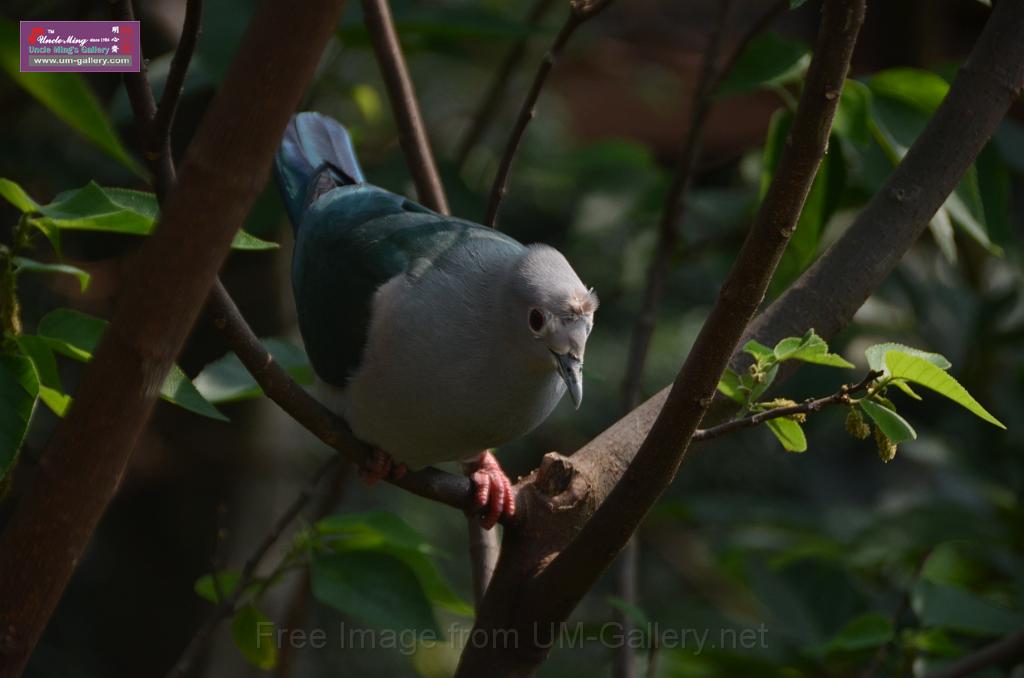 20150426jw-hk-park_DSC_0628.JPG