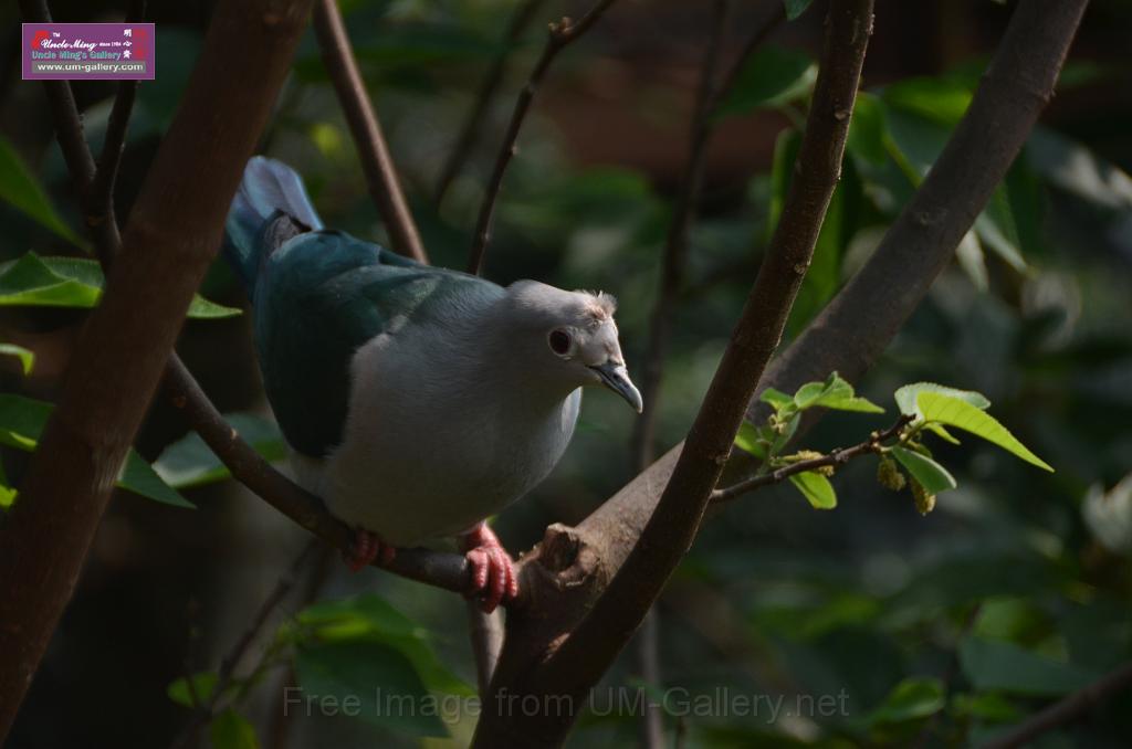 20150426jw-hk-park_DSC_0629.JPG