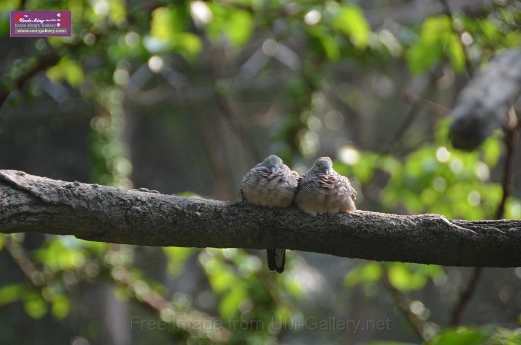 20150426jw-hk-park_DSC_0646.JPG