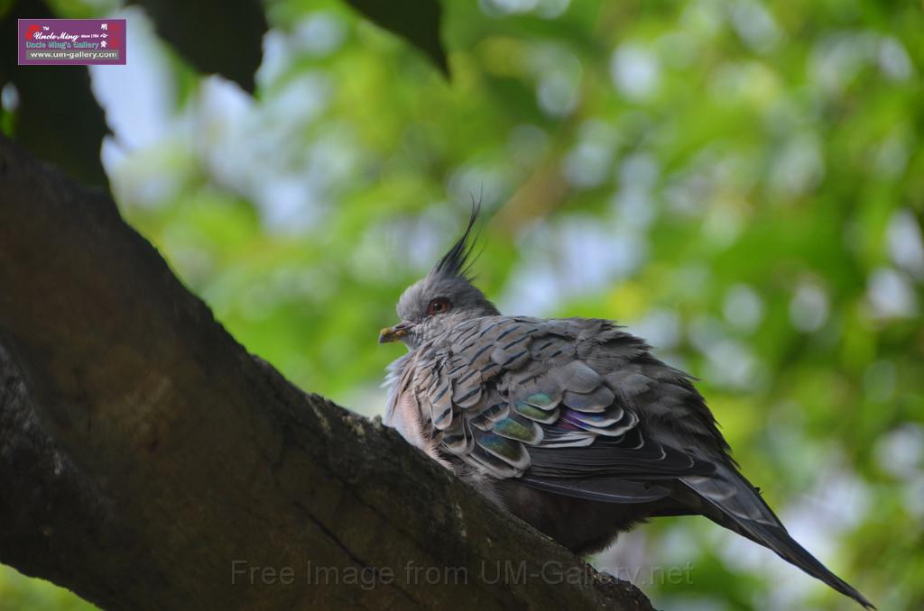 20150426jw-hk-park_DSC_0667.JPG