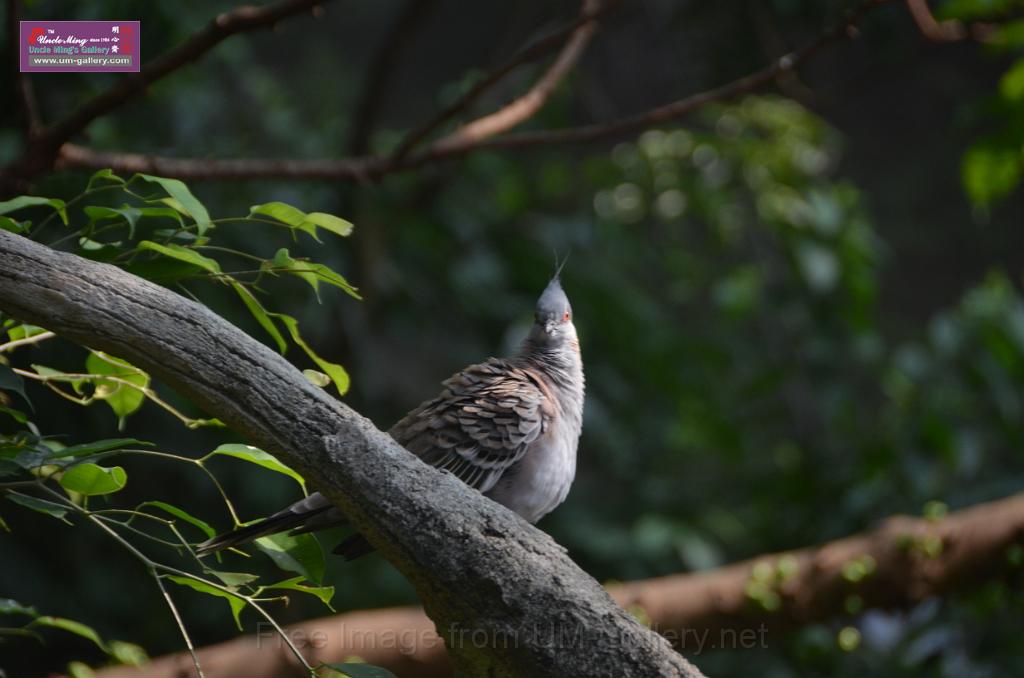 20150426jw-hk-park_DSC_0673.JPG