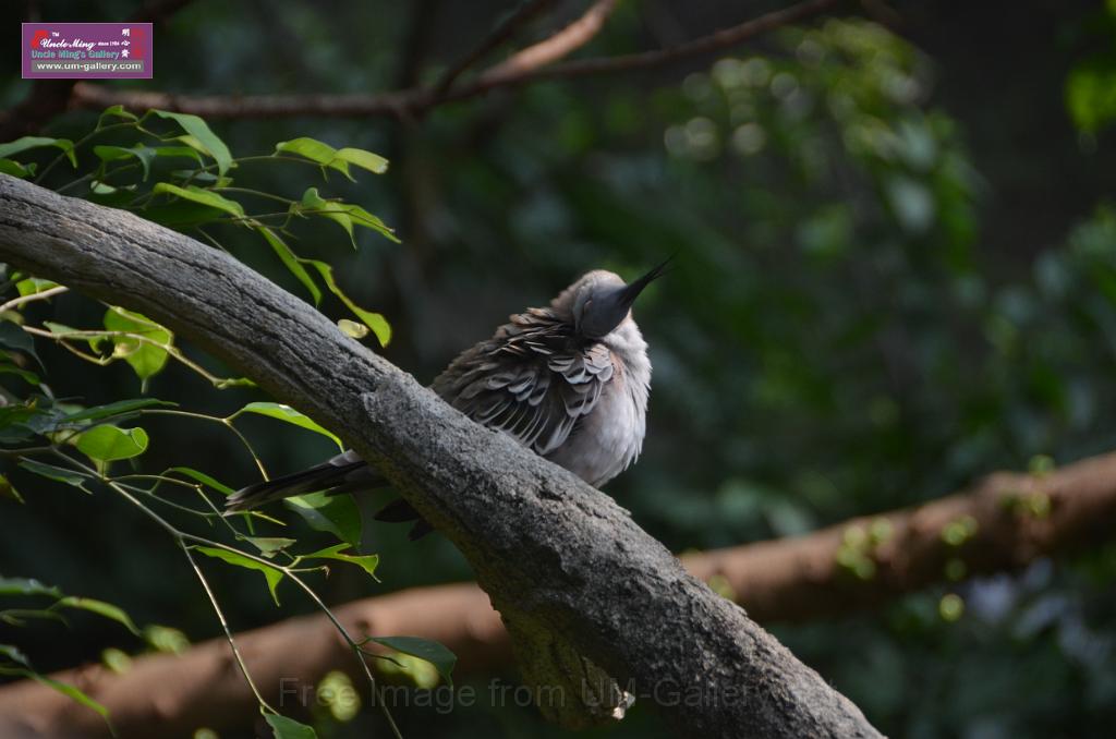 20150426jw-hk-park_DSC_0676.JPG