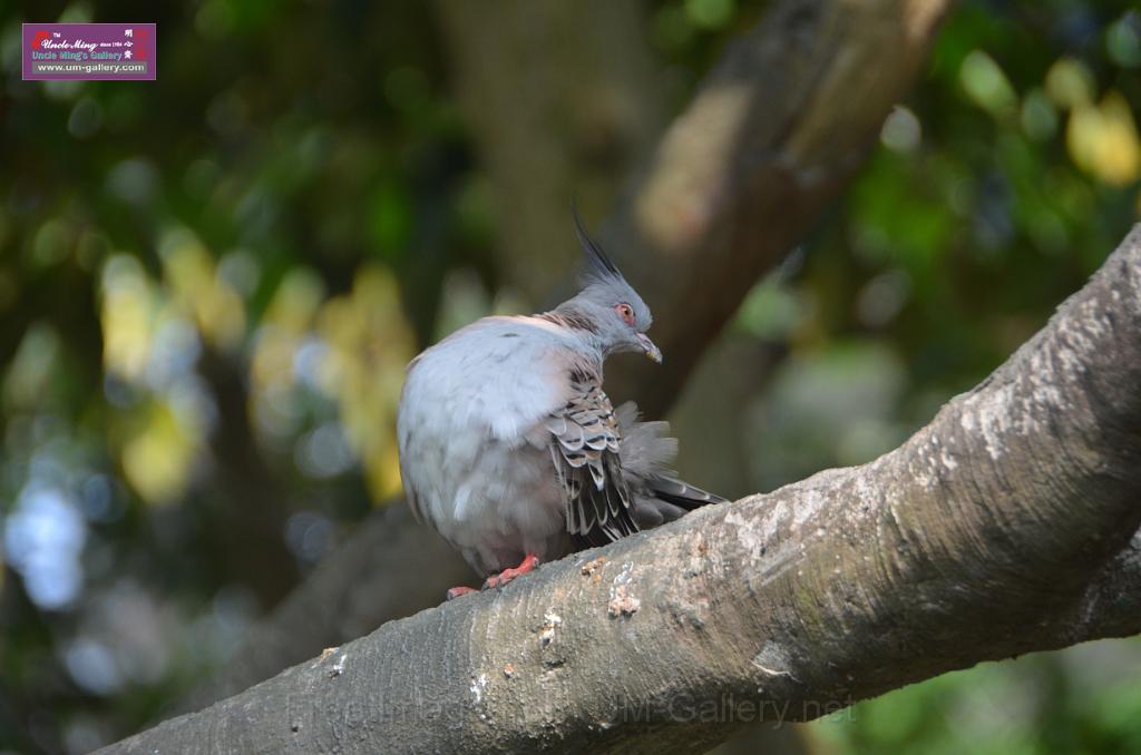 20150426jw-hk-park_DSC_0689.JPG