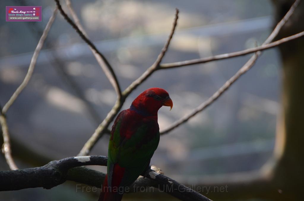 20150426jw-hk-park_DSC_0725.JPG