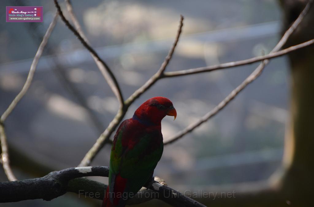 20150426jw-hk-park_DSC_0726.JPG