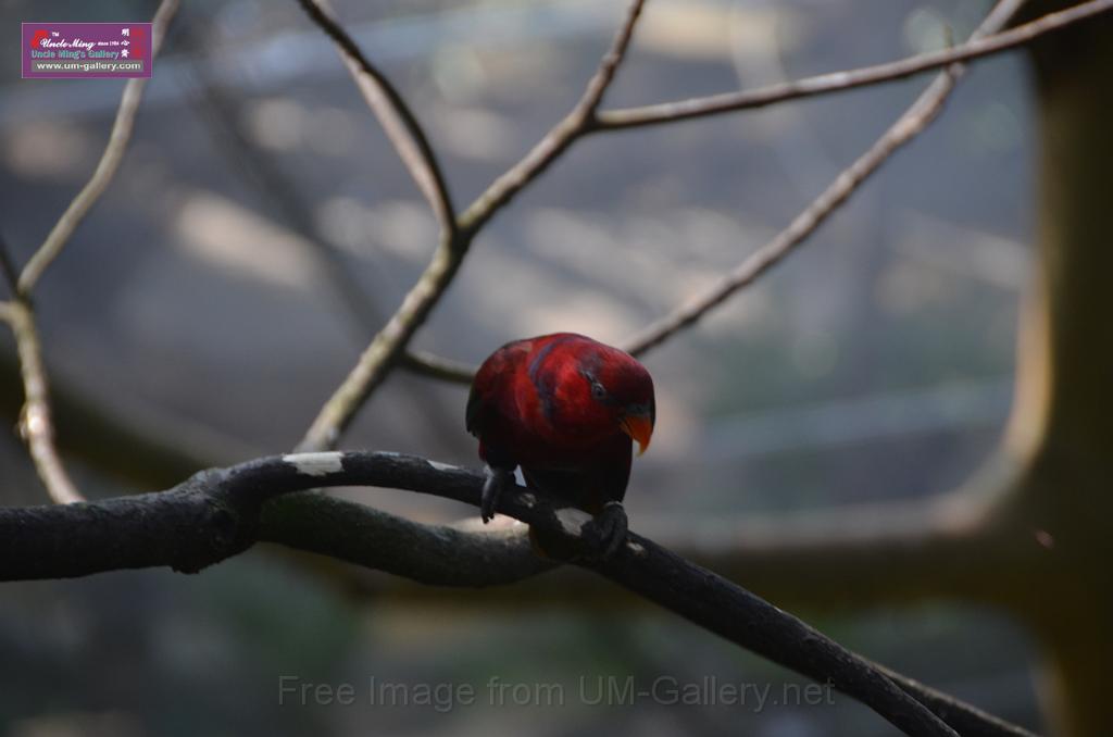 20150426jw-hk-park_DSC_0730.JPG