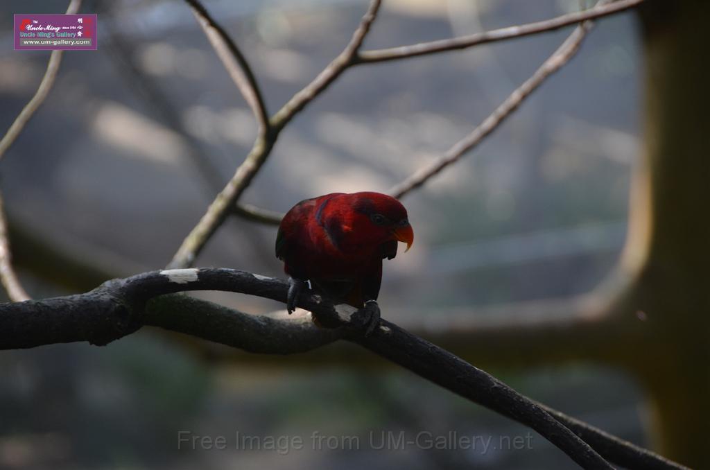 20150426jw-hk-park_DSC_0731.JPG