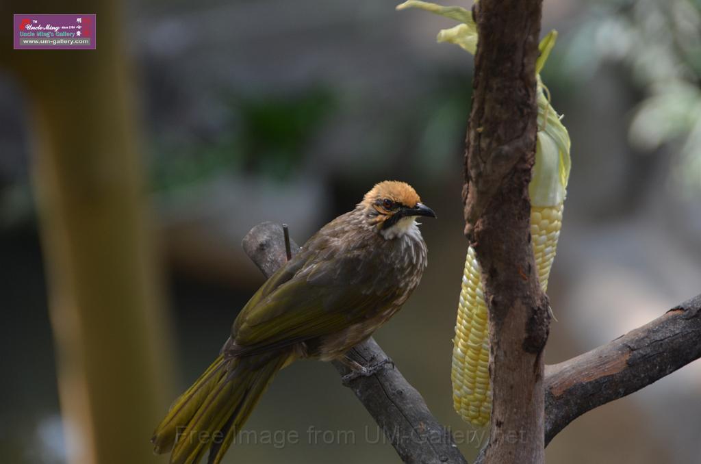 20150426jw-hk-park_DSC_0742.JPG