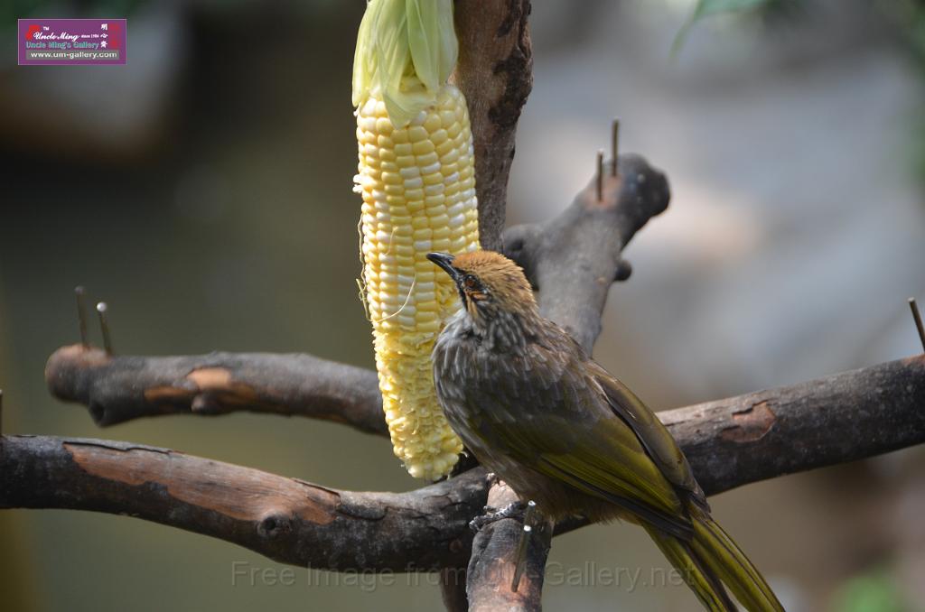 20150426jw-hk-park_DSC_0748.JPG