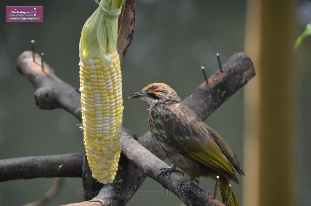 20150426jw-hk-park_DSC_0751.JPG