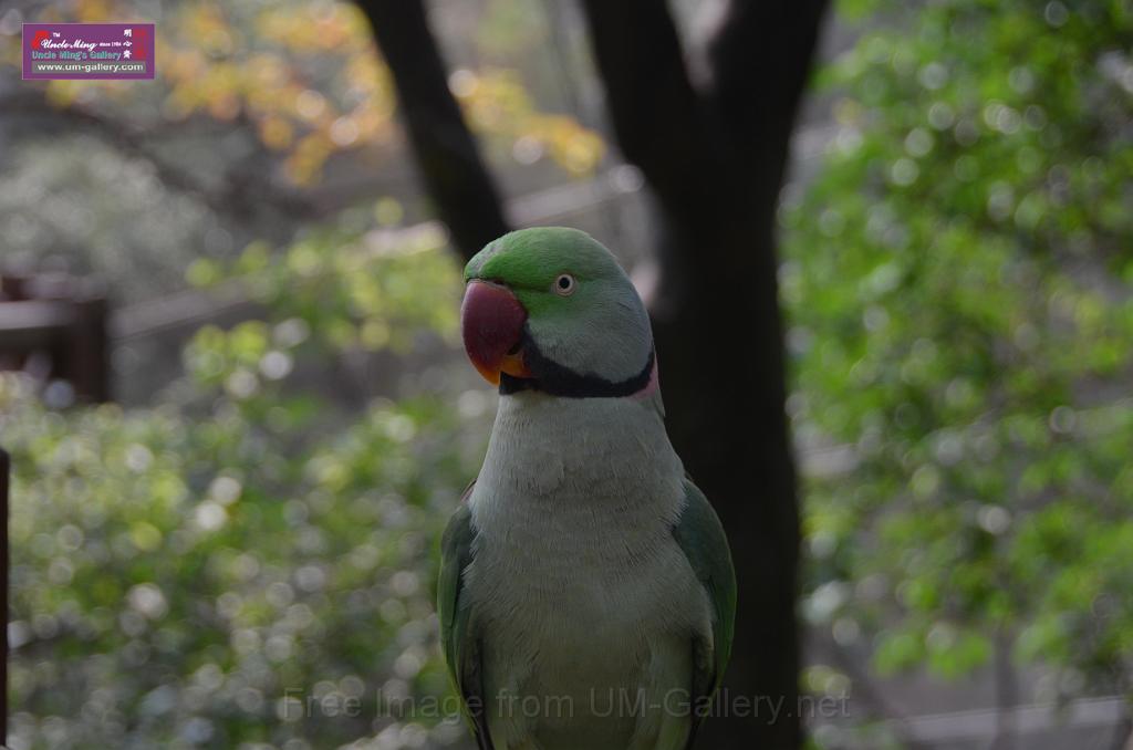 20150426jw-hk-park_DSC_0807.JPG