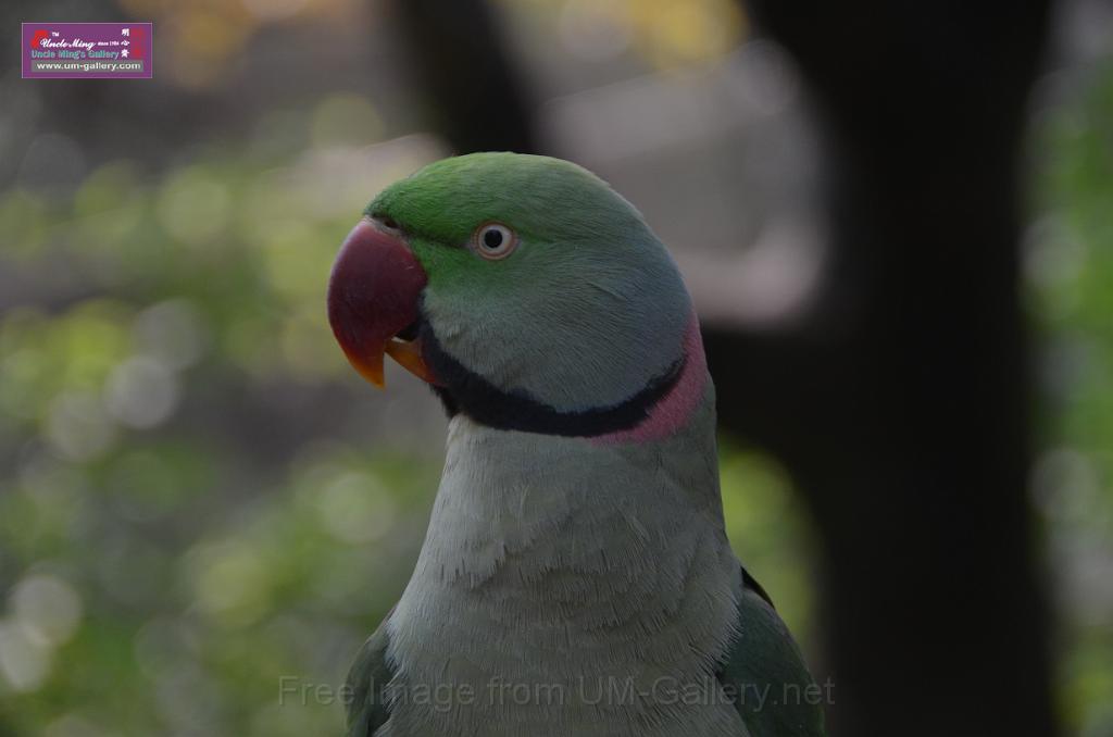 20150426jw-hk-park_DSC_0808.JPG