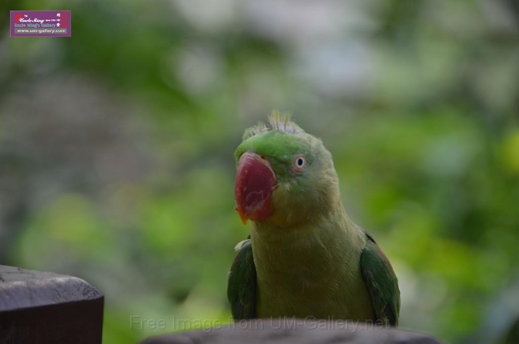 20150426jw-hk-park_DSC_0836.JPG