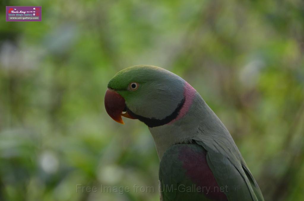 20150426jw-hk-park_DSC_0840.JPG