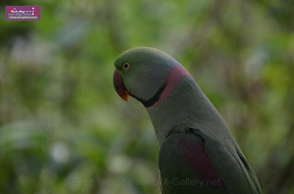 20150426jw-hk-park_DSC_0841.JPG