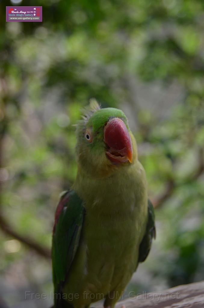 20150426jw-hk-park_DSC_0862.JPG