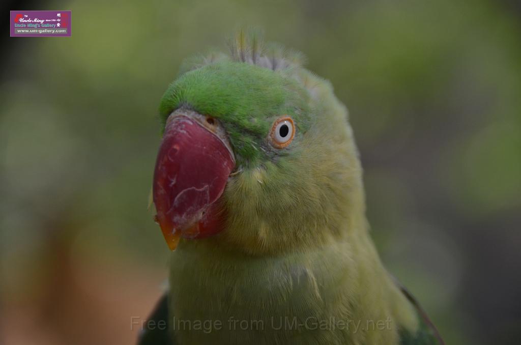 20150426jw-hk-park_DSC_0863.JPG