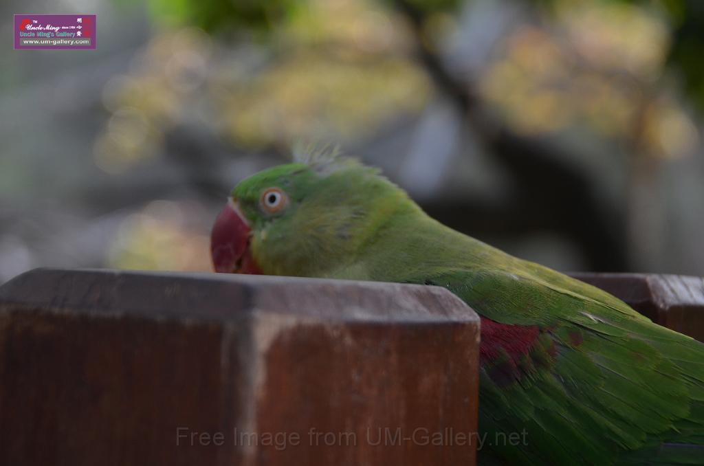 20150426jw-hk-park_DSC_0866.JPG