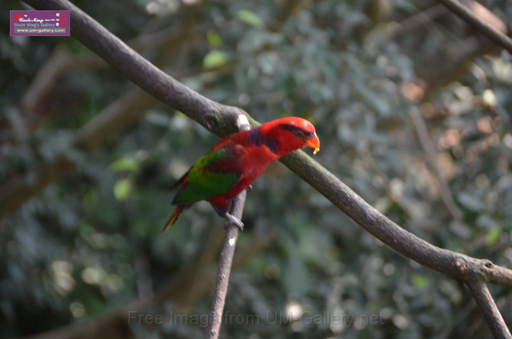 20150426jw-hk-park_DSC_0886.JPG