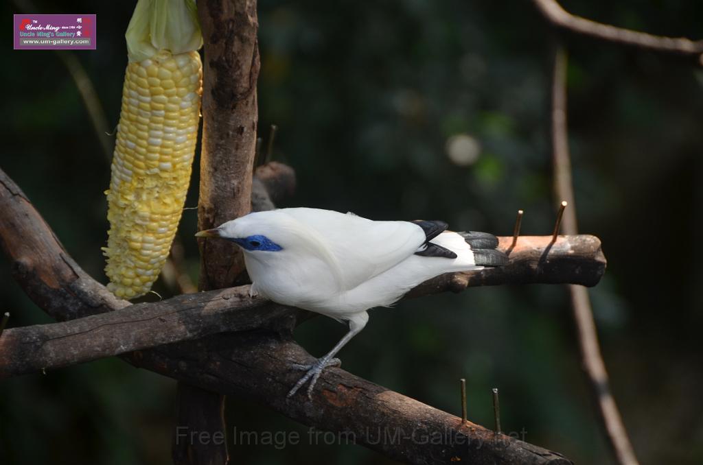 20150426jw-hk-park_DSC_0899.JPG