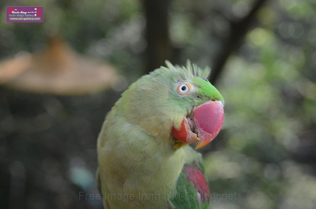 20150426jw-hk-park_DSC_0911.JPG