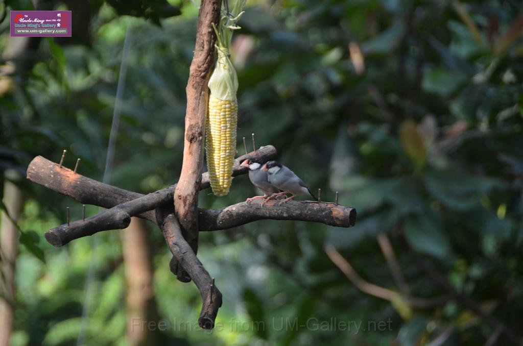 20150426jw-hk-park_DSC_0948.JPG