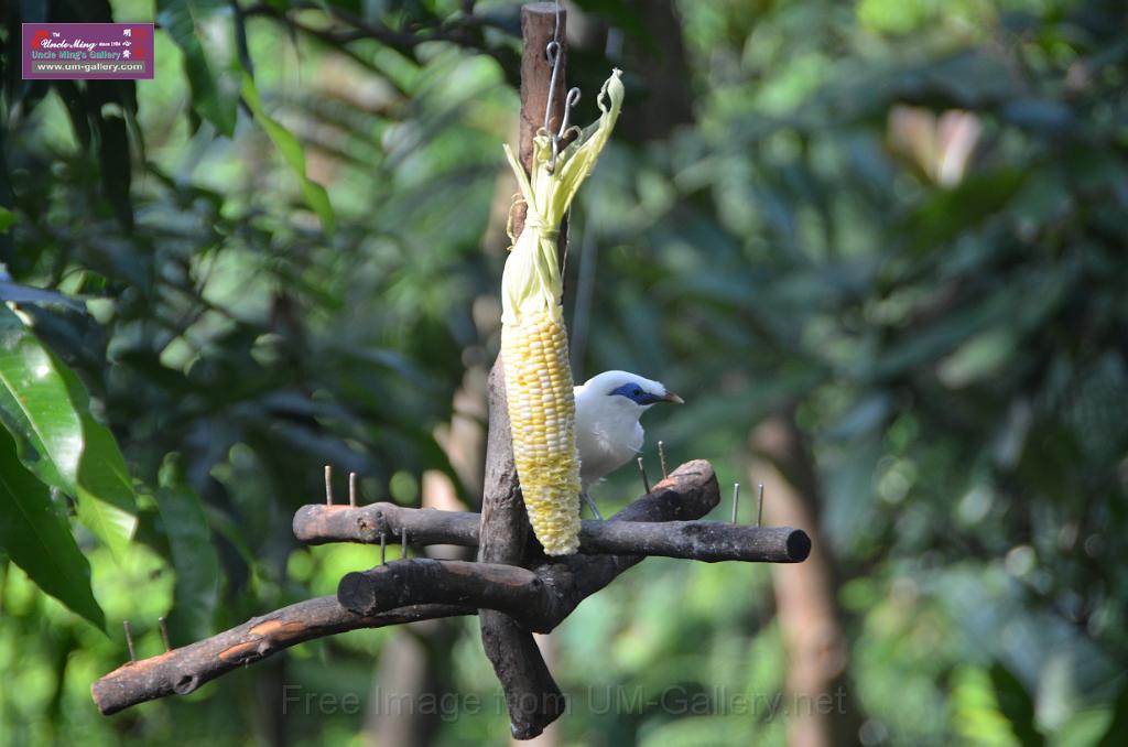 20150426jw-hk-park_DSC_0963.JPG