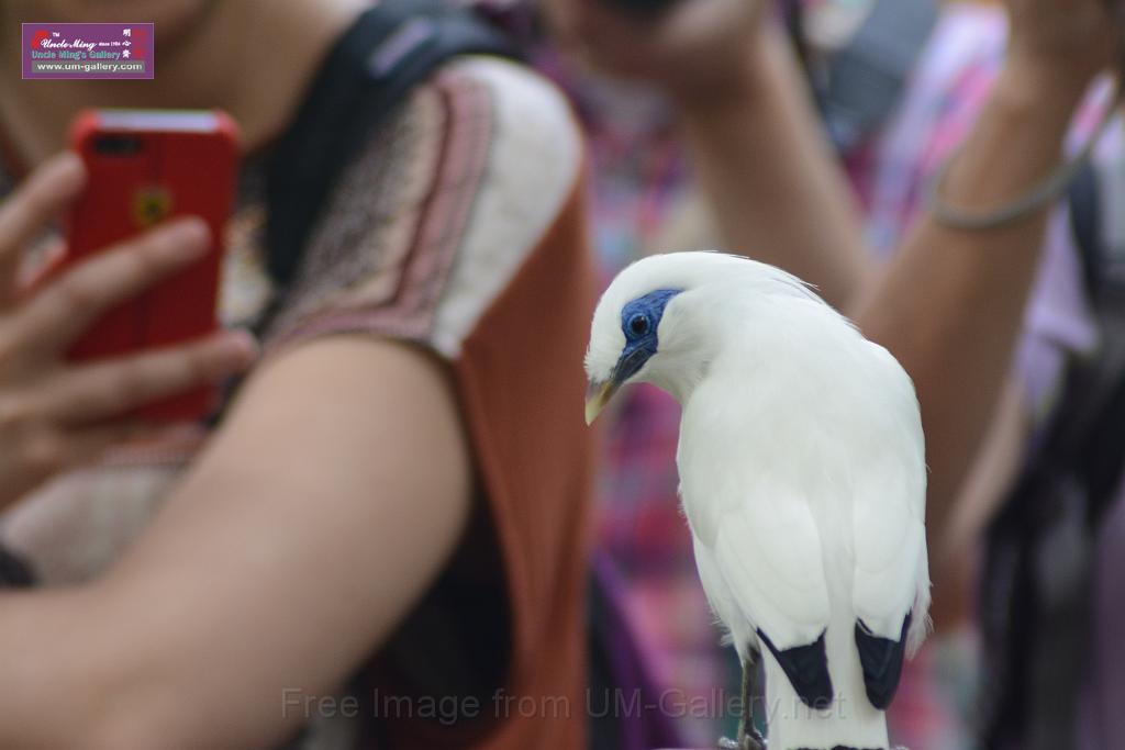 20150503sm_hk-park_DSC_2254.JPG