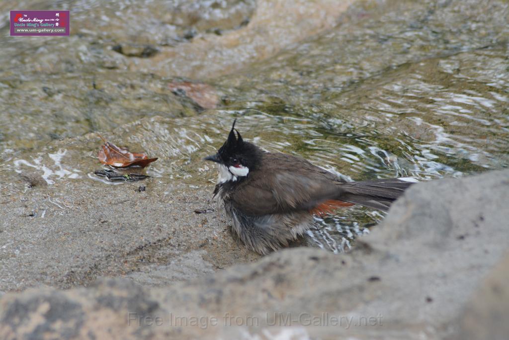 20150503sm_hk-park_DSC_2543.JPG