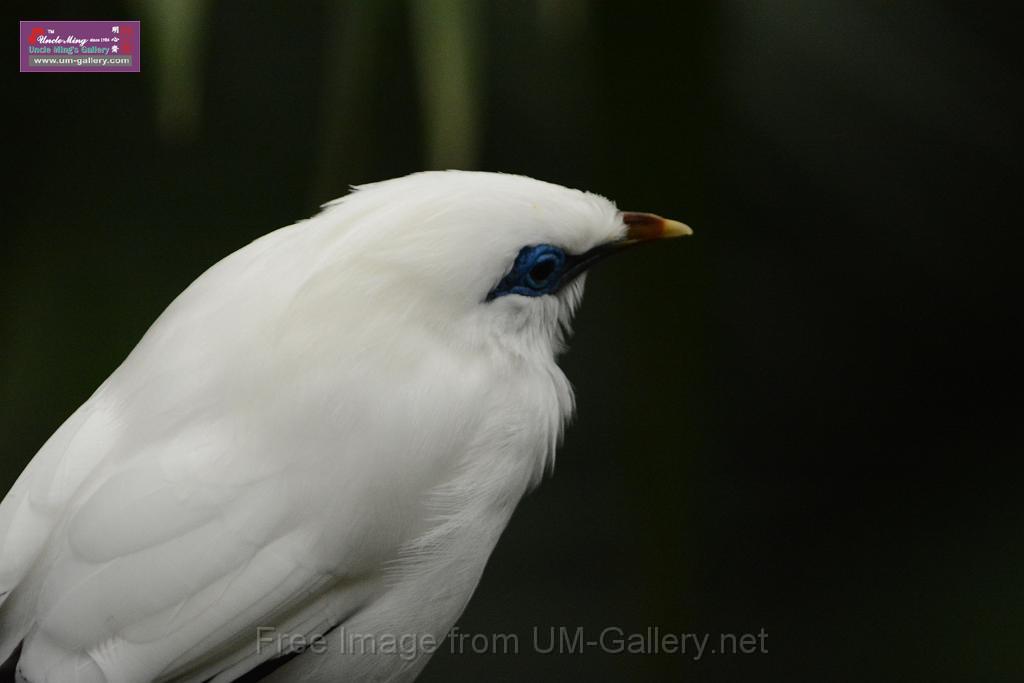 20180222hkpark_DSC_0883.JPG